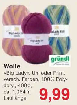 Wiglo Wunderland Big Lady Wolle Angebot