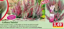 Norma Garden Girls Calluna Twister Angebot