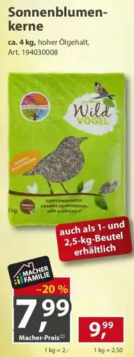 Sonderpreis Baumarkt Sonnenblumenkerne Angebot