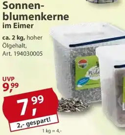 Sonderpreis Baumarkt Sonnenblumenkerne im Eimer Angebot