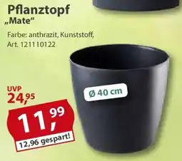 Sonderpreis Baumarkt Pflanztopf ,,Mate" Angebot