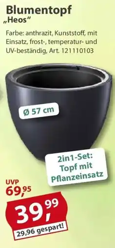 Sonderpreis Baumarkt Blumentopf ,,Heos" Angebot
