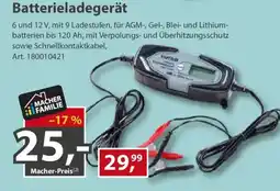 Sonderpreis Baumarkt Eufab Batterieladegerät Angebot