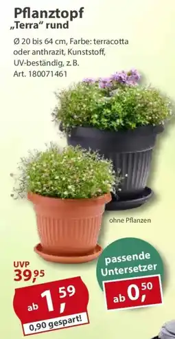 Sonderpreis Baumarkt Pflanztopf ,,Terra" rund Angebot