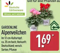 Aldi Nord GARDENLINE Alpenveilchen Angebot