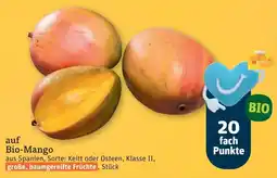tegut Bio-Mango Angebot