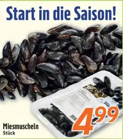 inkoop Miesmuscheln Angebot