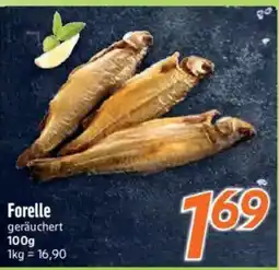 inkoop Forelle geräuchert Angebot