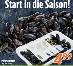 inkoop Miesmuscheln Angebot