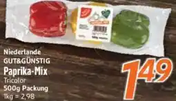 inkoop Niederlande GUT&GÜNSTIG Paprika-Mix Angebot