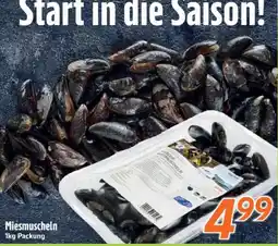 inkoop Miesmuscheln Angebot
