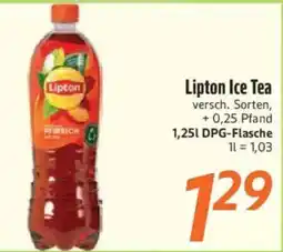 inkoop Lipton Ice Tea Angebot