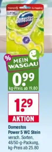 Wasgau Domestos Power 5 WC Stein Angebot