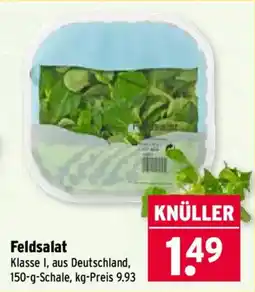 Wasgau Feldsalat Angebot
