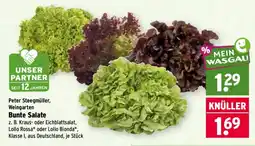 Wasgau Bunte Salate Angebot