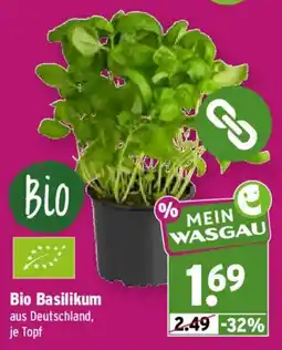Wasgau Bio Basilikum Angebot