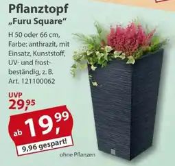 Sonderpreis Baumarkt Pflanztopf "Furu Square" Angebot