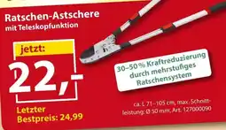 Sonderpreis Baumarkt Ratschen-Atschere mit Teleskopfunktion Angebot