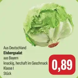 Feneberg Eisbergsalat Angebot