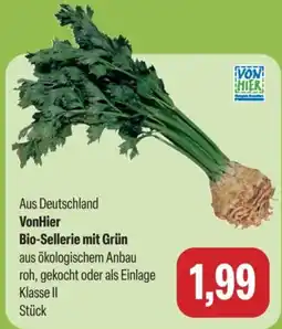 Feneberg VonHier Bio-Sellerie mit Grün Angebot
