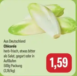 Feneberg Chicorée Angebot