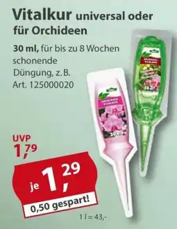 Sonderpreis Baumarkt Vitalkur universal oder für Orchideen Angebot