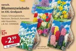 Sonderpreis Baumarkt Blumenzwiebeln Angebot