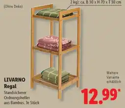 Lidl LIVARNO Regal Angebot