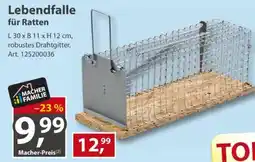 Sonderpreis Baumarkt Lebendfalle für Ratten Angebot