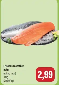 Feneberg Frisches Lachsfilet natur Angebot