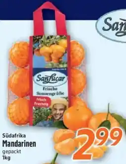 inkoop Südafrika Mandarinen Angebot