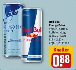 REWE Red Bull Energy Drink Angebot