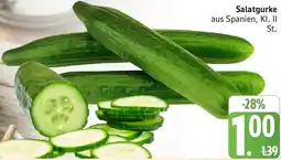 Marktkauf Salatgurke Angebot