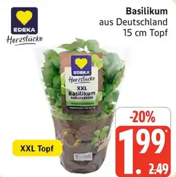 Marktkauf Basilikum Angebot