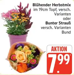 Marktkauf Blühender Herbstmix oder Bunter Strauß Angebot
