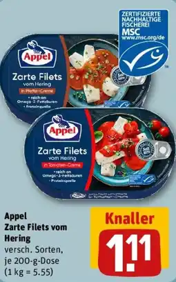 REWE Appel Zarte Filets vom Hering Angebot