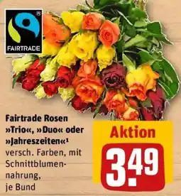 REWE Fairtrade Rosen Trio, Duo oder Jahreszeiten Angebot