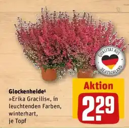 REWE Glockenheide Angebot
