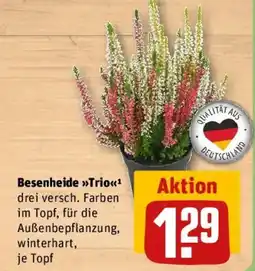 REWE Besenheide Trio Angebot