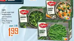 Klaas und Kock iglo Rohgemüse Angebot