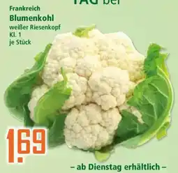 Klaas und Kock Frankreich Blumenkohl Angebot