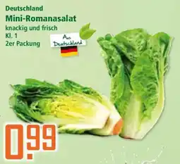 Klaas und Kock Deutschland Mini-Romanasalat Angebot