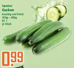 Klaas und Kock Spanien Gurken Angebot