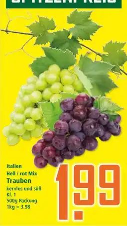 Klaas und Kock Trauben Angebot