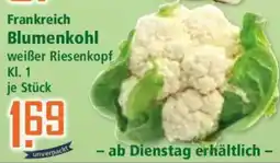 Klaas und Kock Frankreich Blumenkohl weißer Riesenköpfe Angebot