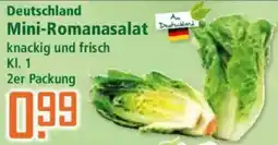 Klaas und Kock Mini-Romanasalat Angebot