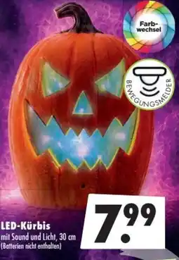 Mäc Geiz LED-Kürbis Angebot