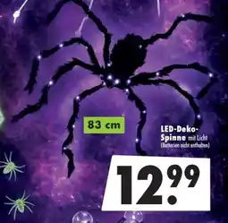 Mäc Geiz LED-Deko-Spinne Angebot