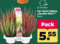 Netto Calluna "Garden Girls" Angebot