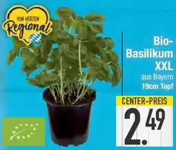 E-Center Bio Basilikum XXL Angebot